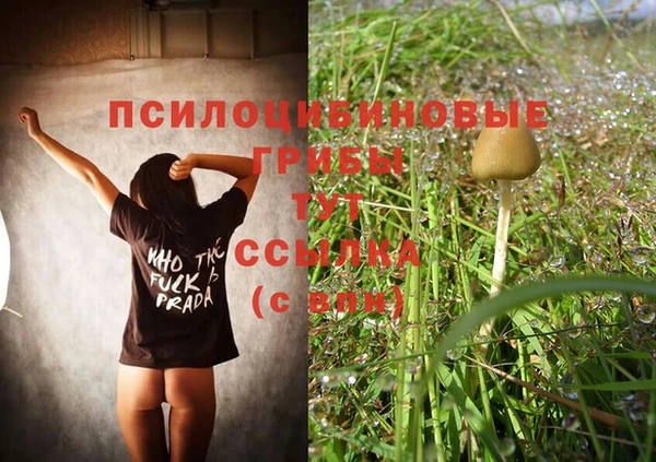 дмт Белоозёрский