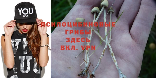 мяу мяу мука Белокуриха